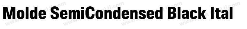 Molde SemiCondensed Black Italic字体转换